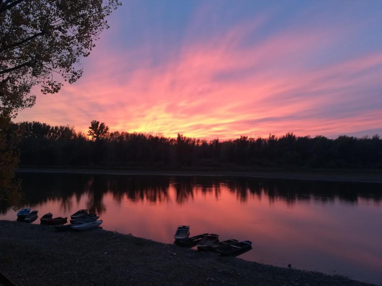 B&B Bela Vrba Backo Novo Selo Exteriör bild