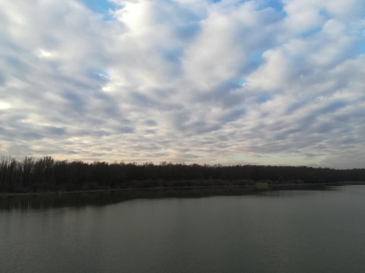 B&B Bela Vrba Backo Novo Selo Exteriör bild