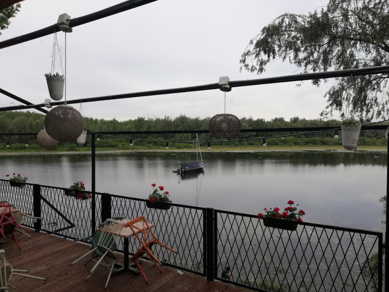 B&B Bela Vrba Backo Novo Selo Exteriör bild