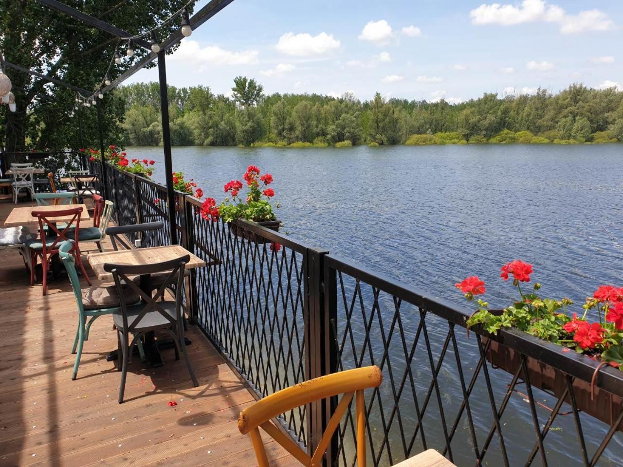 B&B Bela Vrba Backo Novo Selo Exteriör bild