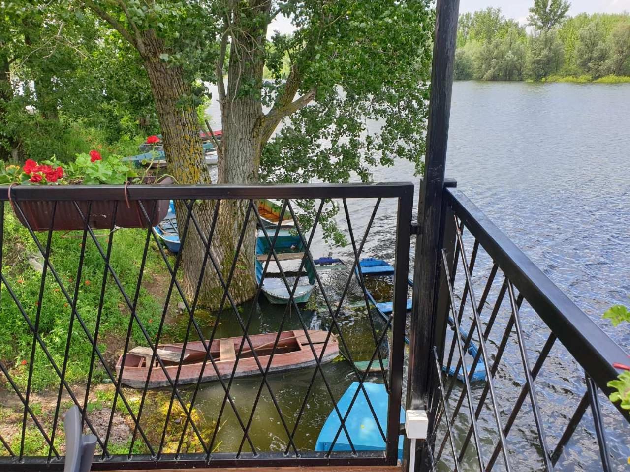 B&B Bela Vrba Backo Novo Selo Exteriör bild