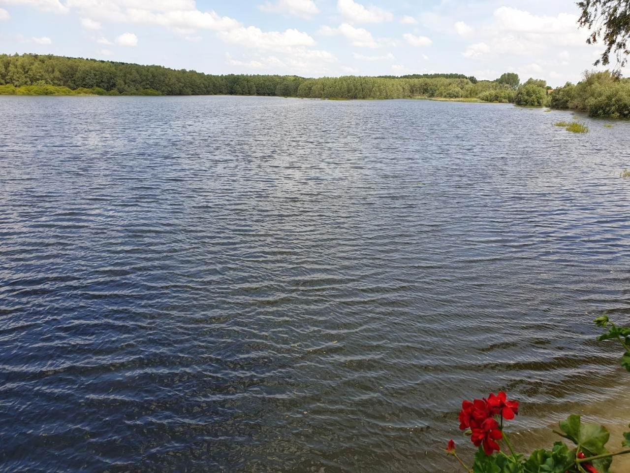 B&B Bela Vrba Backo Novo Selo Exteriör bild