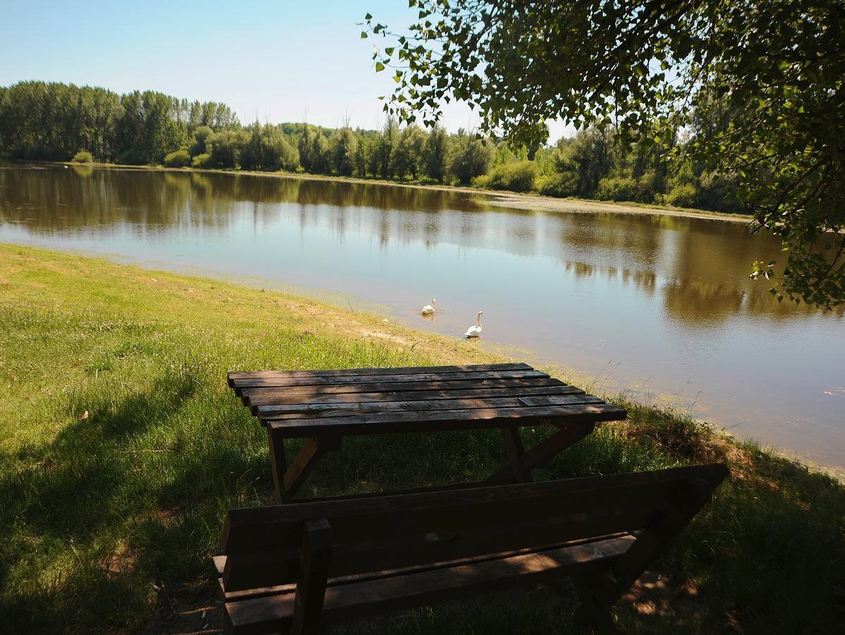 B&B Bela Vrba Backo Novo Selo Exteriör bild